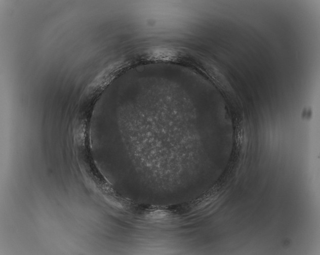 X0000111640551200907311255