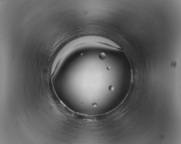 X0000111640552200907311255