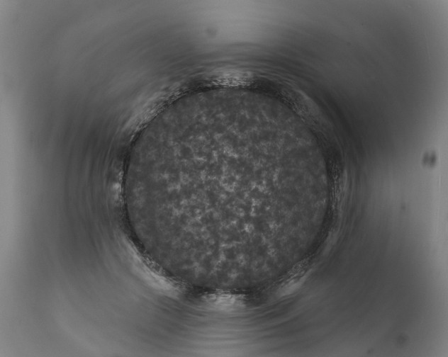 X0000111640553200907311255