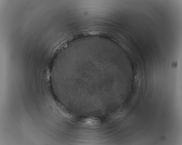 X0000111640555200907311255