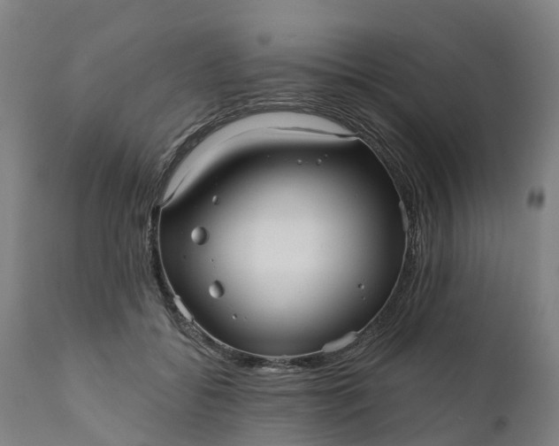 X0000111640556200907311255