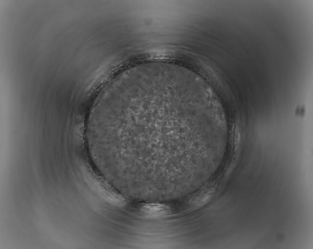 X0000111640557200907311255