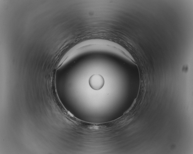 X0000111640558200907311255