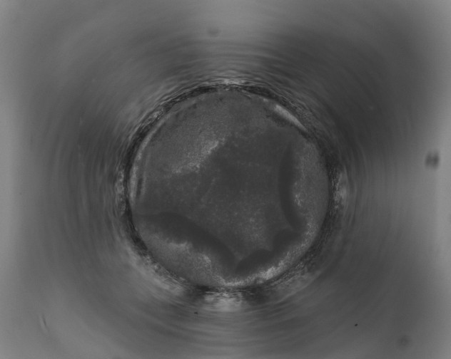 X0000111640559200907311255