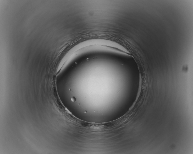 X0000111640560200907311255