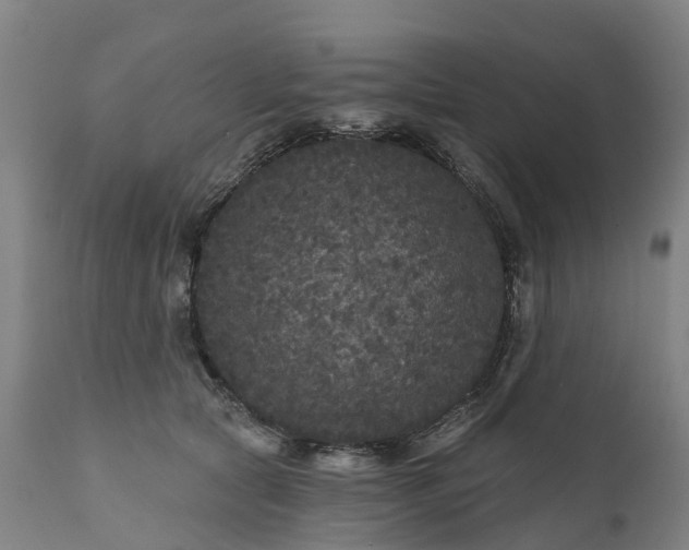 X0000111640561200907311255