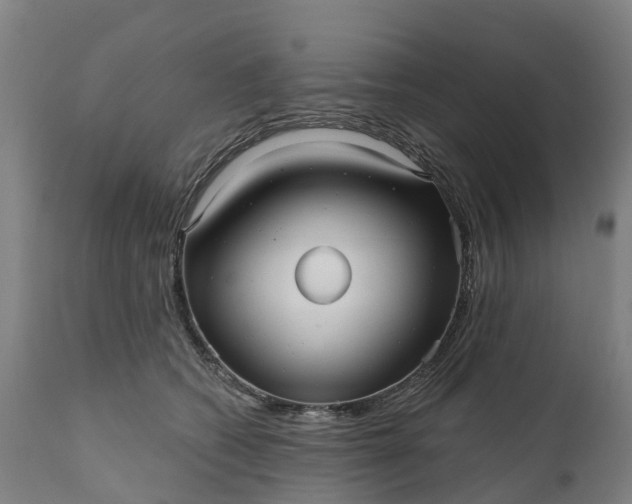 X0000111640562200907311255