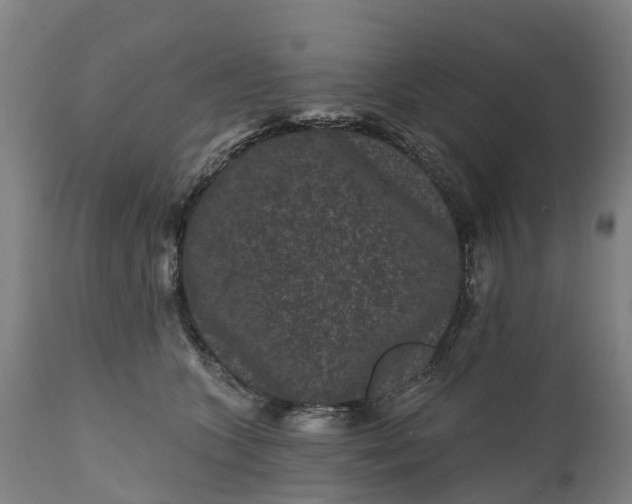 X0000111640563200907311255