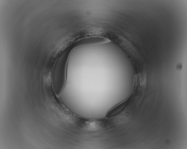 X0000111640564200907311255