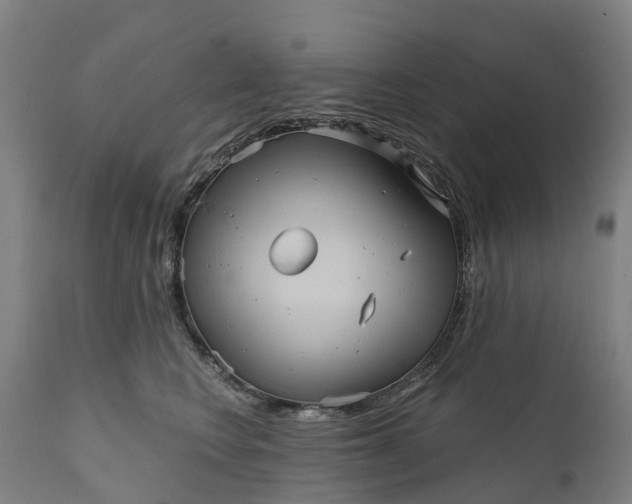 X0000111640566200907311255