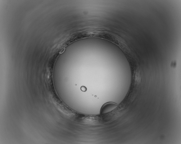 X0000111640567200907311255