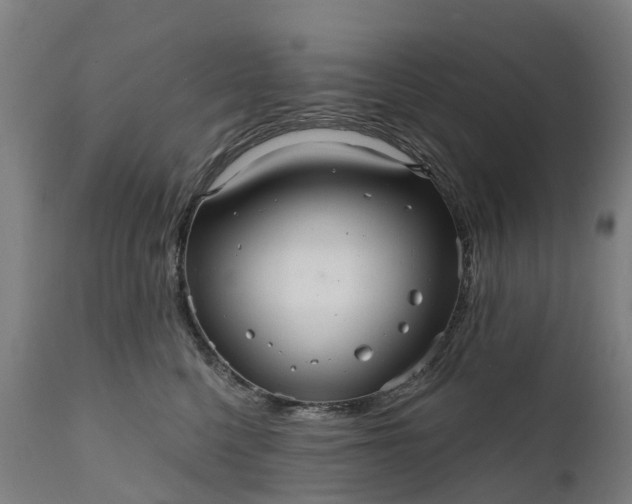 X0000111640568200907311255