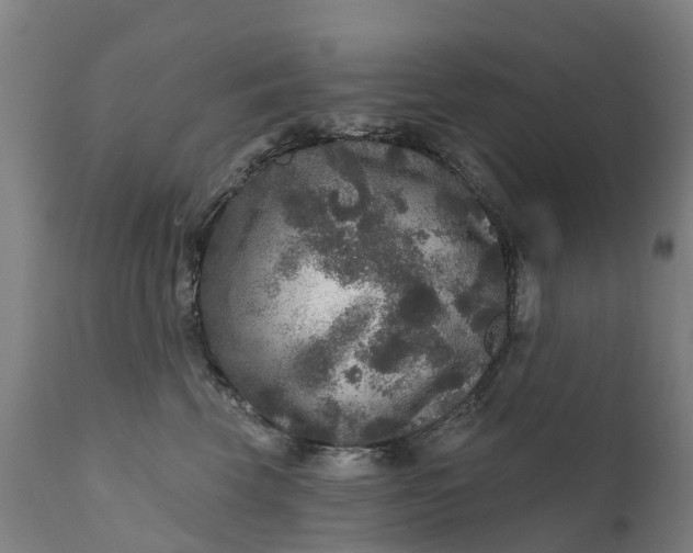 X0000111640569200907311255