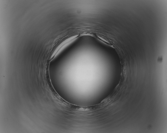 X0000111640570200907311255