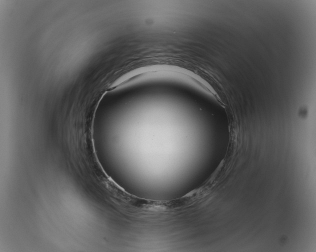 X0000111640572200907311255