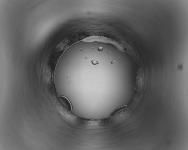 X0000111640574200907311255