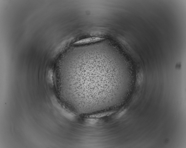 X0000111640575200907311255