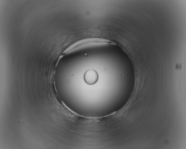 X0000111640576200907311255