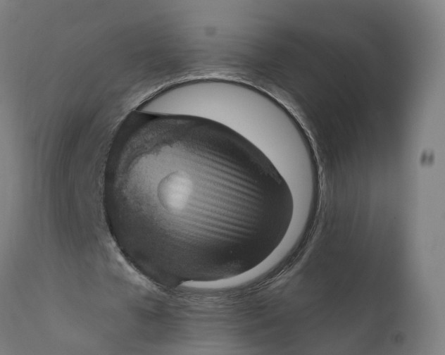 X0000111640577200907311254