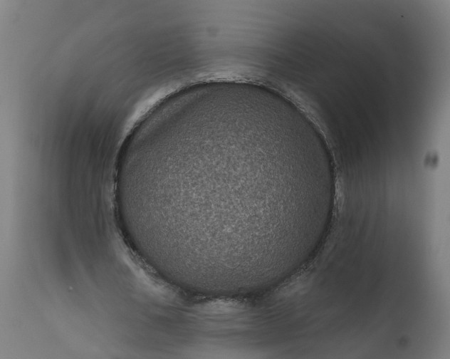 X0000111640578200907311254