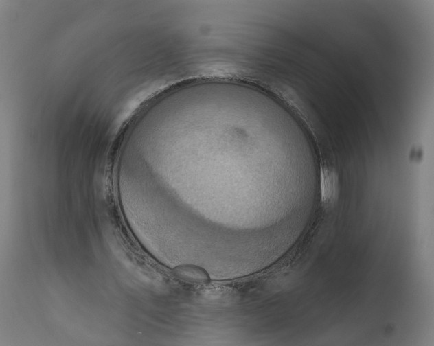 X0000111640579200907311254