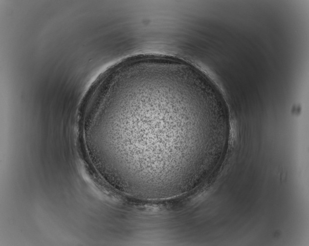 X0000111640580200907311254