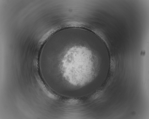 X0000111640581200907311254