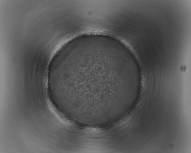 X0000111640582200907311254