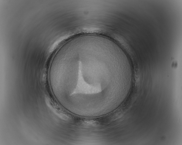 X0000111640583200907311254