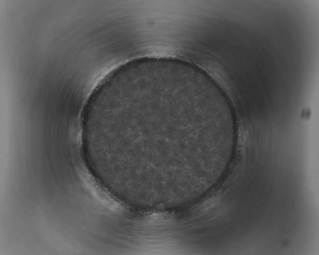 X0000111640584200907311254