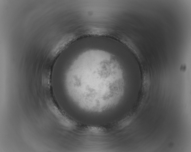 X0000111640585200907311254