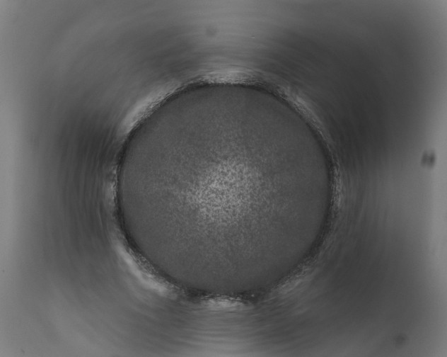 X0000111640586200907311254