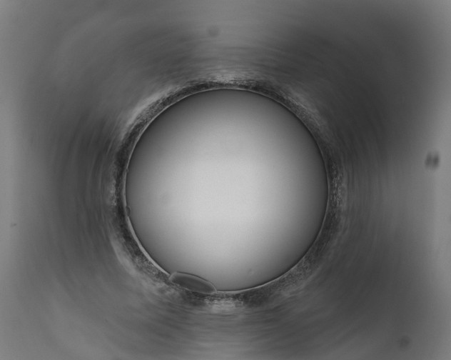 X0000111640587200907311254