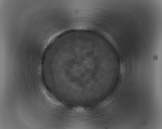 X0000111640588200907311254