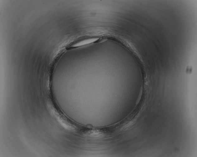 X0000111640589200907311254