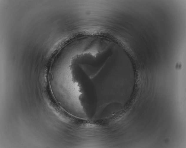 X0000111640590200907311254