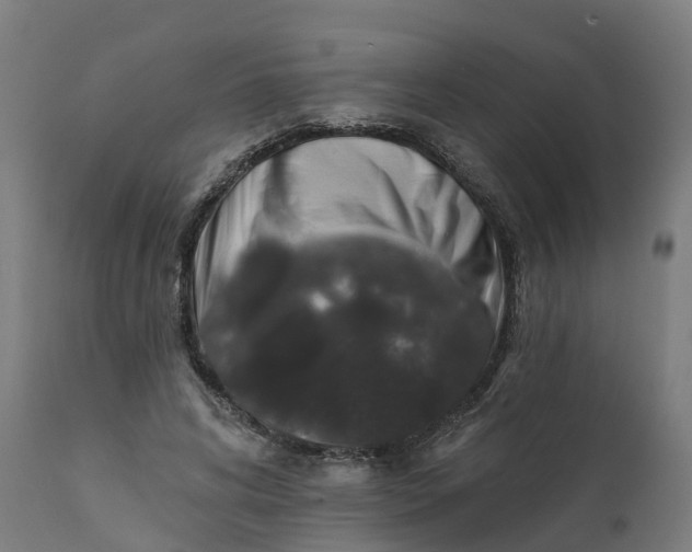 X0000111640592200907311254