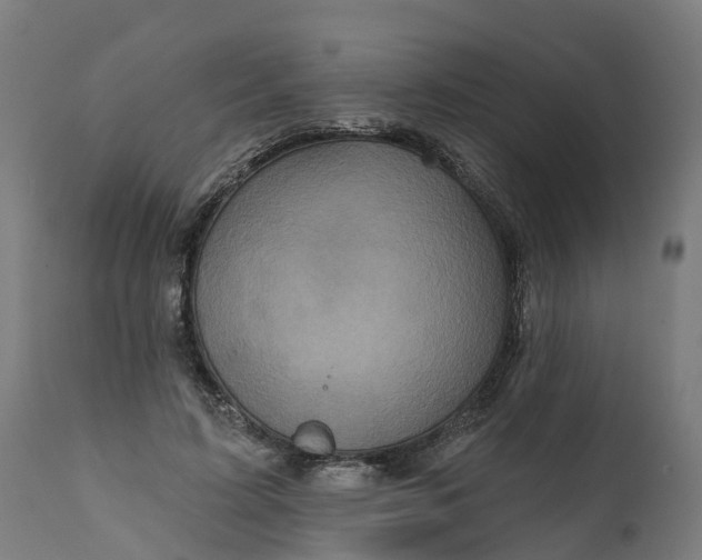 X0000111640595200907311254