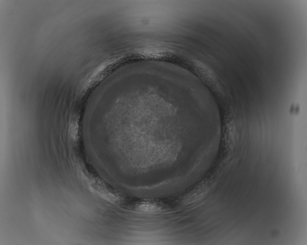 X0000111640596200907311254