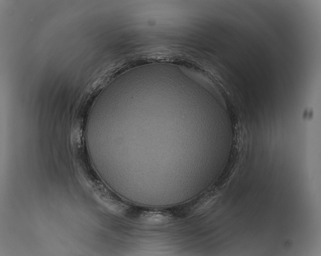 X0000111640597200907311254