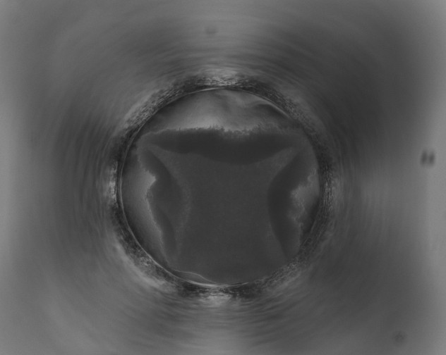 X0000111640598200907311254