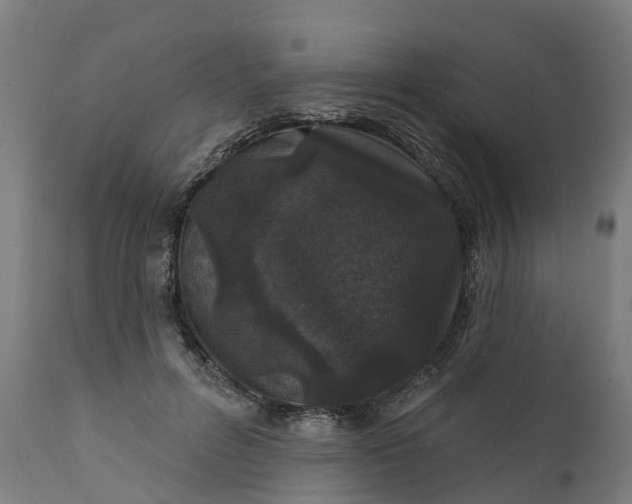 X0000111640600200907311254