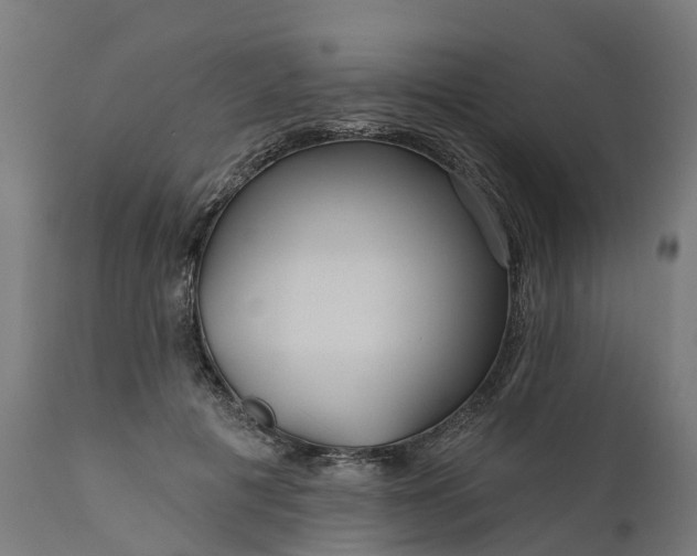 X0000111640601200907311254