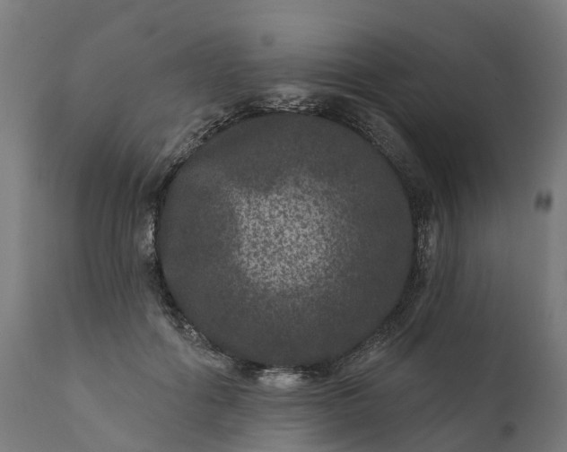 X0000111640602200907311254