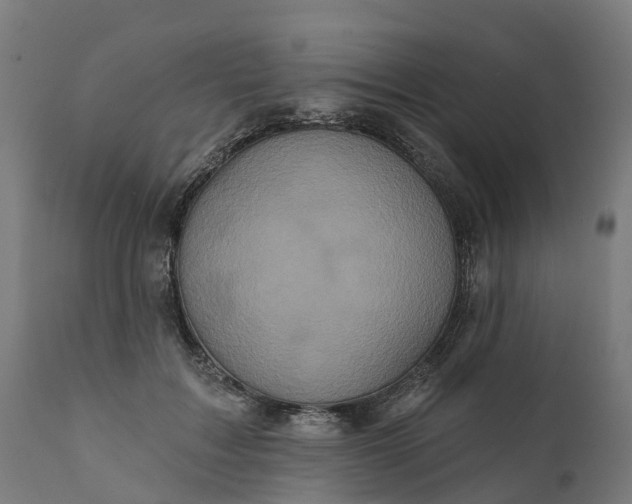 X0000111640603200907311254