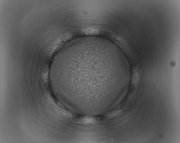 X0000111640604200907311254