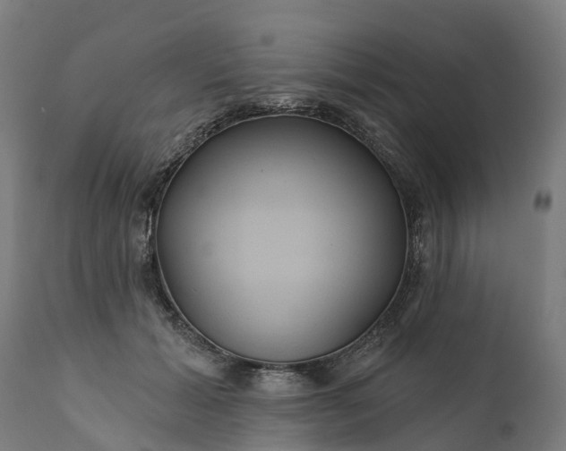 X0000111640605200907311254