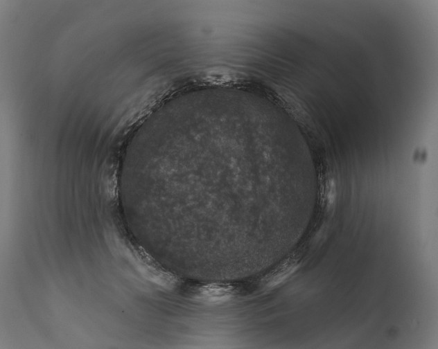 X0000111640606200907311254