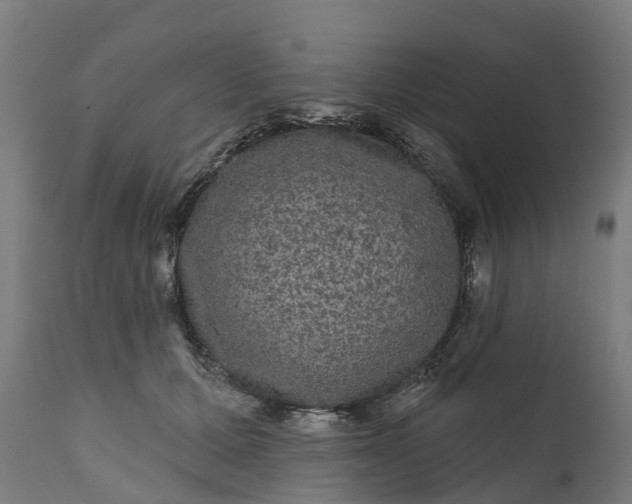 X0000111640607200907311254