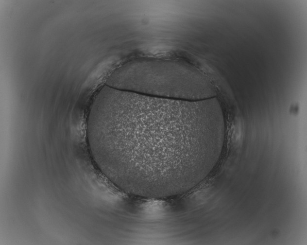 X0000111640609200907311254